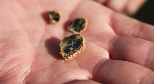 Что такое вермикулит для растений. Особые свойства вермикулита, преимущества и недостатки