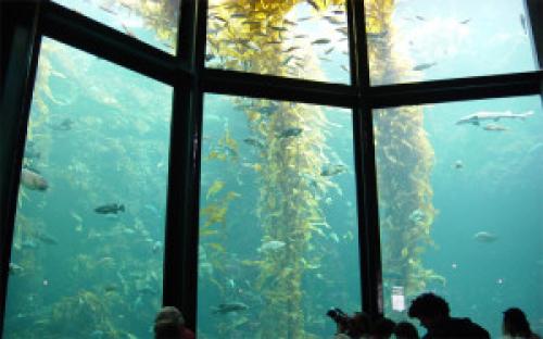 Как можно вернуть прозрачность оргстеклу своими руками. Как восстановить прозрачность оргстекла