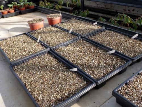 Вермикулит вспученный, что это такое для чего он нужен. Что такое зонолит 04