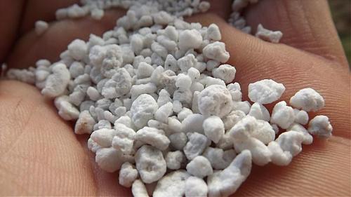 Вермикулит и перлит для растений, как применять. Что такое перлит