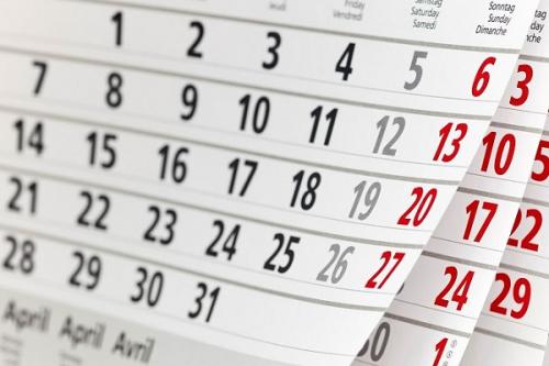 Как выбрать оптимальный период для высадки флоксов на рассаду из семян в 2024 году. Сроки посева