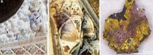 Как рисунок цветов на стенах особняка изменился со временем. Ученые раскрыли тайну испанского дворца, который меняет свой цвет