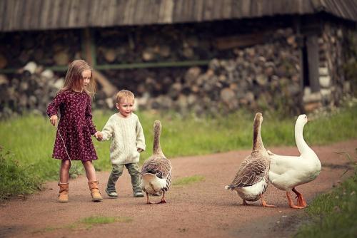 Вермикулит: все, что нужно знать о этом редком заболевании 05 Вермикулит: все, что нужно знать о этом редком заболевании 05