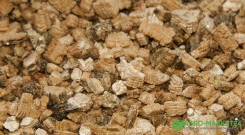 Вермикулит: все, что нужно знать о этом редком заболевании 02 Вермикулит: все, что нужно знать о этом редком заболевании 02