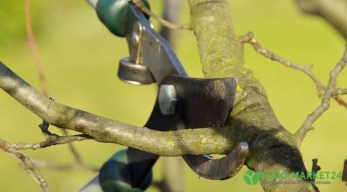 Осень в саду и огороде: 5 вещей, которые лучше не делать 01 Осень в саду и огороде: 5 вещей, которые лучше не делать 01