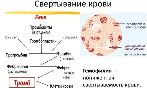 Кальций хлористый пищевой применение. Применение 04