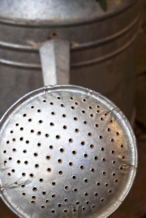 Как реанимировать ель. Как реанимировать засыхающую живую новогоднюю елку