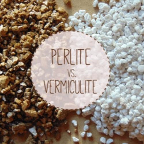 Перлит и вермикулит в чем разница для растений. Как отличаются по составу? 04 Перлит и вермикулит в чем разница для растений. Как отличаются по составу? 04