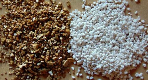 Перлит и вермикулит: лучшие друзья растений 01 Перлит и вермикулит: лучшие друзья растений 01