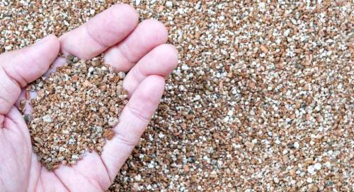 Перлит и вермикулит: лучшие друзья растений 03 Перлит и вермикулит: лучшие друзья растений 03