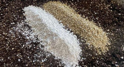 Перлит и вермикулит: лучшие друзья растений 04 Перлит и вермикулит: лучшие друзья растений 04