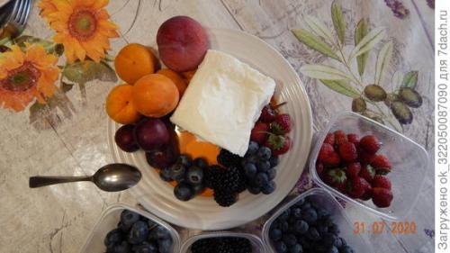 Шарафуга колоновидная шедевр. Как плодоносит шарафуга? Вкусные ли плоды?