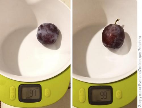 Персик скрещенный со сливой, как называется. Слива-персик 'Найдёна'