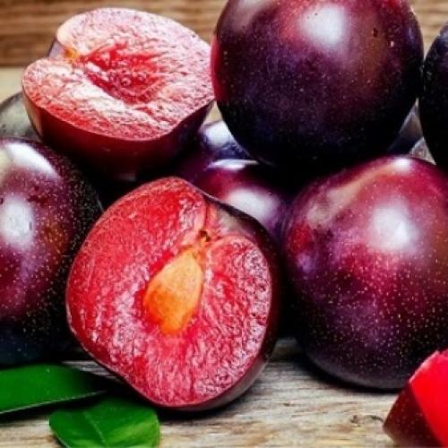 Персик скрещенный со сливой, как называется. Слива-персик 'Найдёна' 10