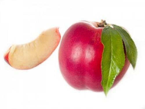 Гибрид персика и манго. Фрукты-гибриды: сделано человеком — персики, абрикосы и сливы