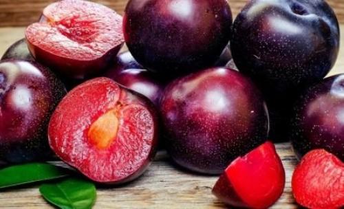 Гибрид сливы и персика сливовый нектарин. Гибриды сливы, абрикоса и персика: названия и описание новых фруктов 02