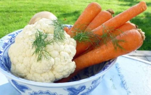 Такая древняя и новомодная морковь фиолетовая. Многоцветная история моркови 07