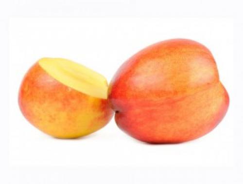 Гибрид персика и манго. Фрукты-гибриды: сделано человеком — персики, абрикосы и сливы