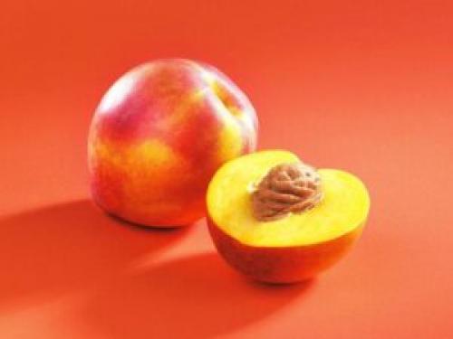 Нектарин где растет. Нектарин (дерево). Как садить и выращивать нектарин? Особенности, полезные свойства и виды нектарина. Размножение нектарина. Болезни и лечение. Цена