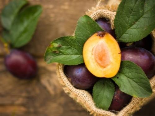 Перестаньте воспринимать алычу, как дикую южанку. Алыча вкуснее сливы 08