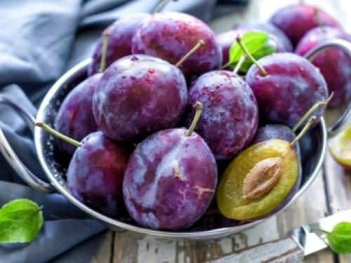 Перестаньте воспринимать алычу, как дикую южанку. Алыча вкуснее сливы 04