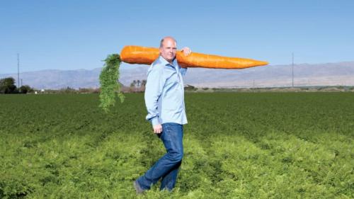 Крупноплодные сорта моркови. Рекордсмены среди овощей: какая самая большая морковка в мире и кто её вырастил