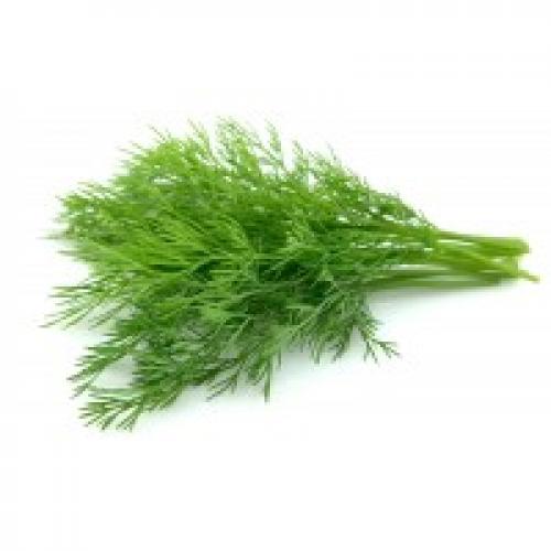 Морковь карлсон. Рекомендуемые товары