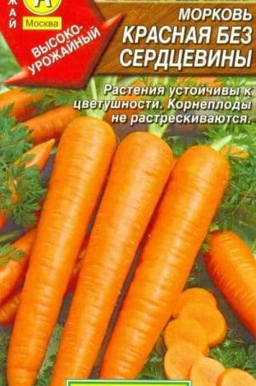 Красная морковь без сердцевины. Особенности красной моркови без сердцевины