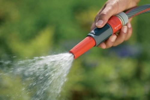 Почему морковь трескается. Почему трескается морковь в земле