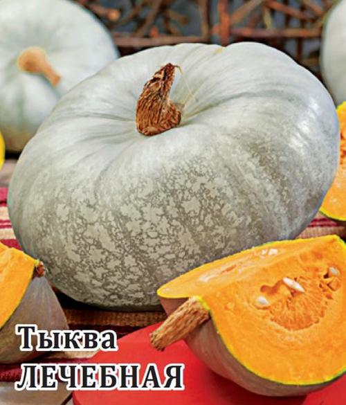 Сорта тыквы. Самые вкусные и сладкие сорта тыквы