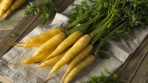 Желтая морковь. Полезные свойства желтой моркови, и в чем отличие от обычной оранжевой