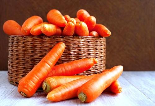 Сладкие сорта моркови для зимнего хранения. Лучшие сорта моркови на 2021 год: самые урожайные, вкусные, сочные, сладкие