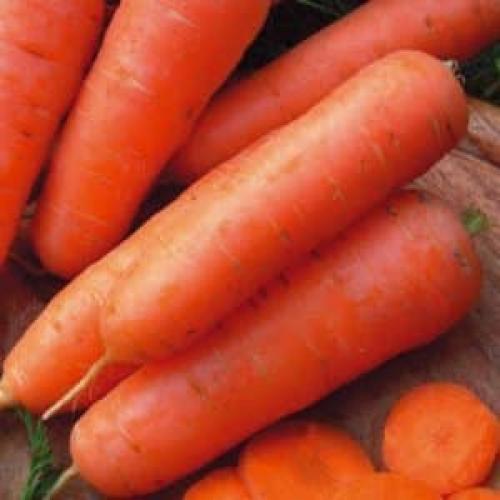 Лучшие сорта моркови с сердцевиной и без. Лучшие сорта моркови — фото и подробное описание, отзывы