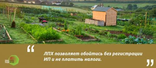 Можно ли строить дом на ЛПХ 2021. Что такое ЛПХ