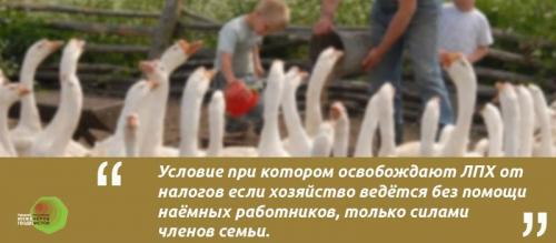 Можно ли строить дом на ЛПХ 2021. Что такое ЛПХ