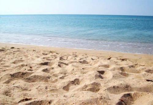 Кварцевый песок состав. Что такое кварцевый песок: формула и структура кварца, минеральный состав