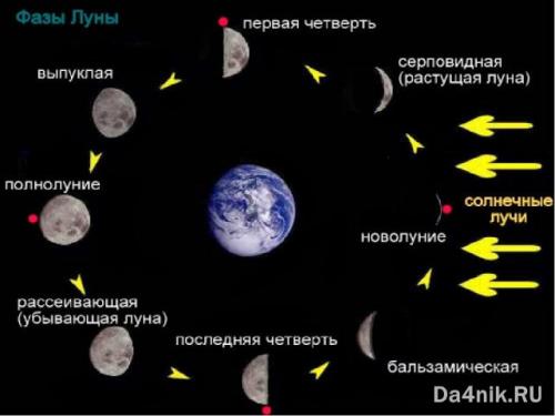 Календарь работ в саду и огороде. Календарь работ: зачем он нужен