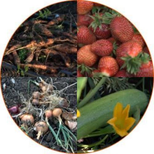 Осенние работы в доме. Календарь работ дачника