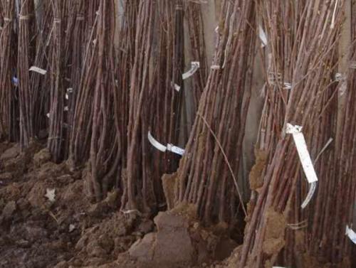 Что делать в сентябре. Список дел на осень 08 Что делать в сентябре. Список дел на осень 08