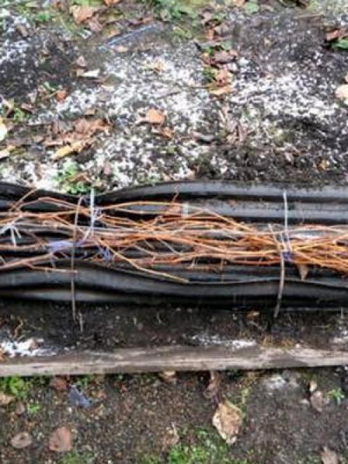 Осенние работы в саду ноябрь. Что можно делать на участке в ноябре: обработка сада