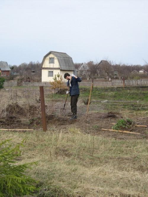 Осенние работы в саду ноябрь. Что можно делать на участке в ноябре: обработка сада