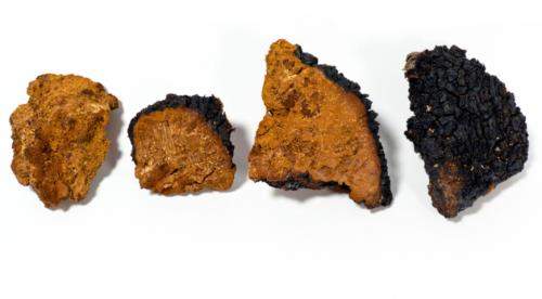 Чага инструкция по применению. Инструкция по применению БЕФУНГИН (BEFUNGIN) 01