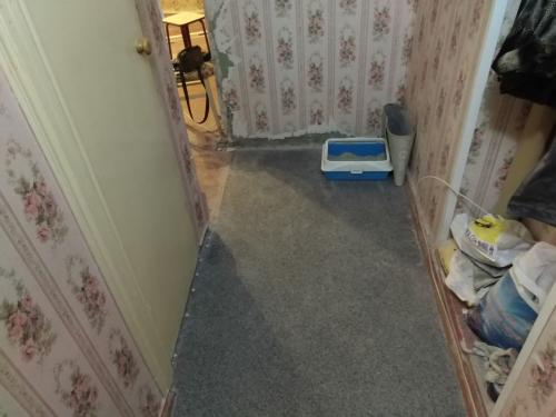 Бюджетный ремонт прихожей своими руками. Бюджетный ремонт в прихожей [5 хитрых приемов]