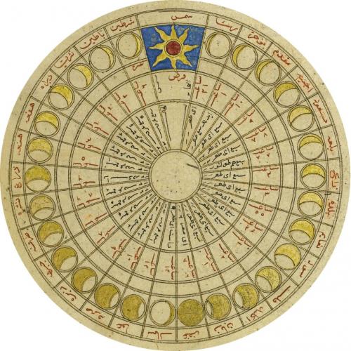 Какие растения лучше посадить в августе по лунному календарю