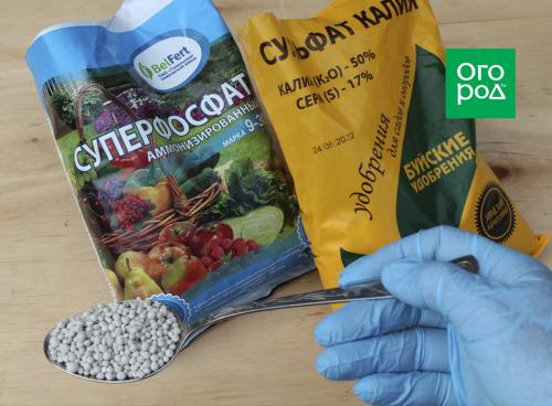 Какие типы удобрений можно использовать для осенней обработки почвы